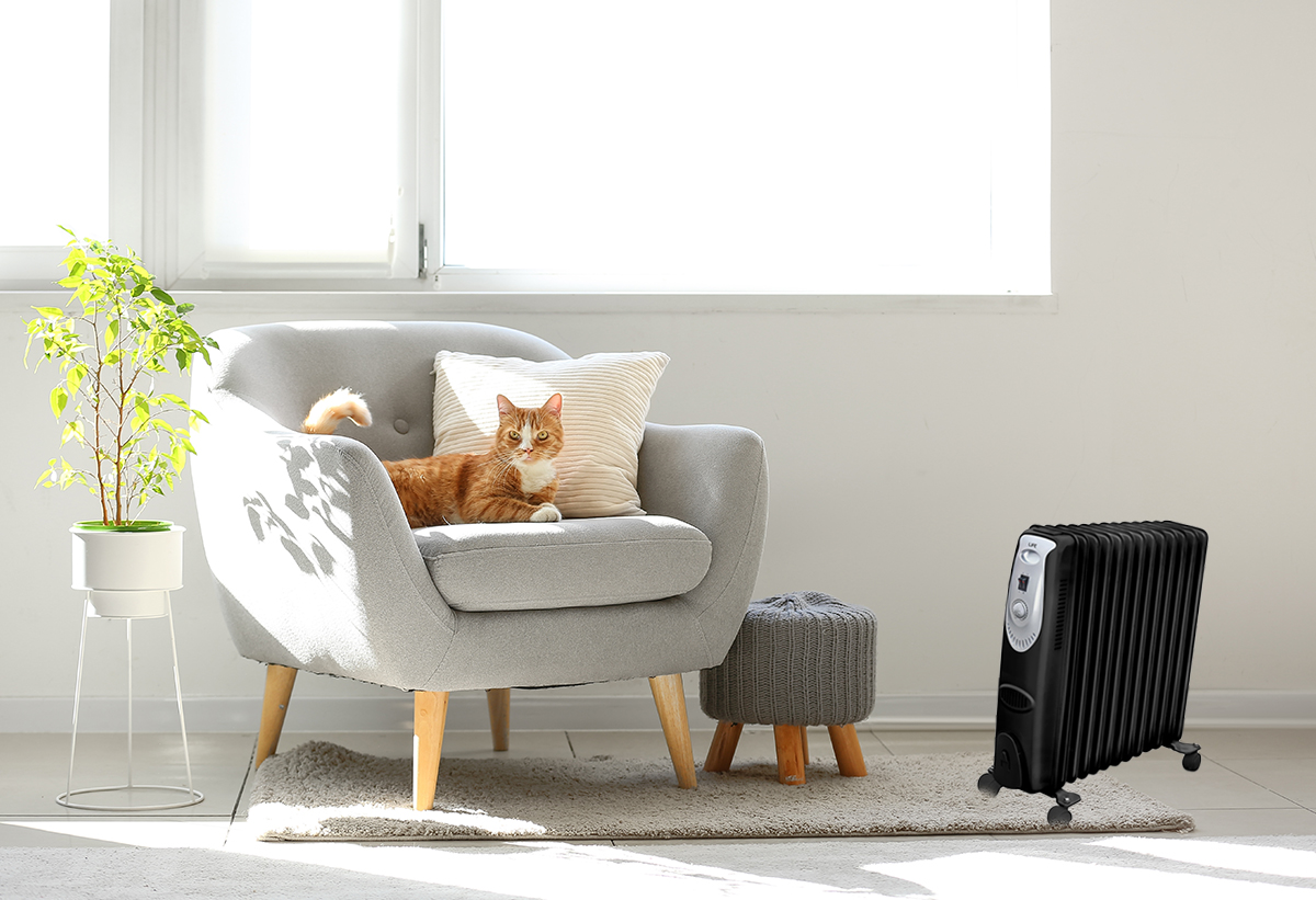 Στην εικόνα απεικονίζονται οι διακόπτες του καλοριφερ